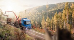 Mercedes-Benz Arocs: Good for the Wood