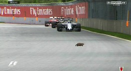 Oscars and rodents at the Canadian Grand Prix