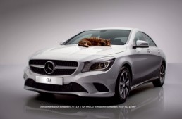 Technicians save tiny kitten stuck underneath a Mercedes-Benz CLA