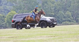 The drag race of the century – Polo Horse vs “Black Crystal” Mercedes