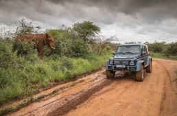 The new Mercedes-Maybach G 650 Landaulet goes on a safari