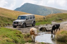 Test drive Mercedes-Benz G 500 – The brute with good manners