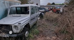 Over 20 Mercedes-Benz G-Class units abandoned for decades in a junkyard