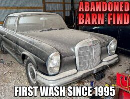 A Mercedes-Benz 220 SE Has Been Sitting in a Barn, Gets First Wash Since 1995